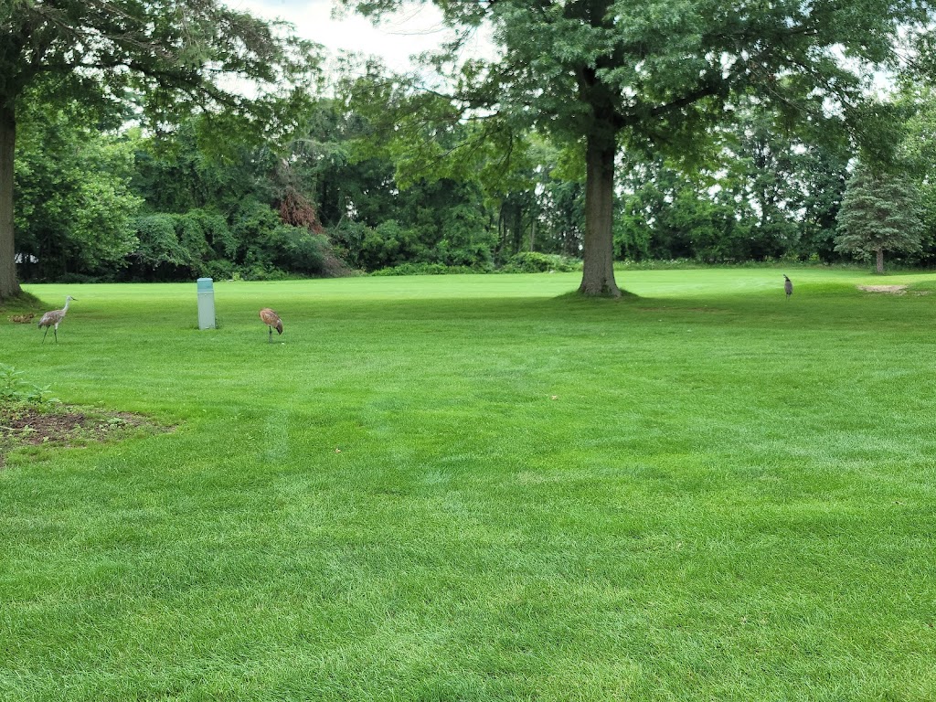 Panoramic view of a lush green golf course at Elbel Park Golf Course. Smooth
