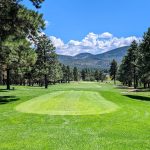Panoramic view of a lush green golf course at Elephant Rocks Golf Course. Smooth