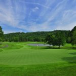 green grass with the flag in the hole.