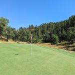 green grass with the flag in the hole.