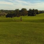 green grass with the flag in the hole.