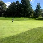 green grass with the flag in the hole.