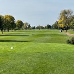 green grass with the flag in the hole.