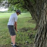 green grass with the flag in the hole.