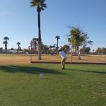green grass with the flag in the hole.