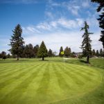green grass with the flag in the hole.