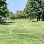 green grass with the flag in the hole.