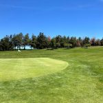 green grass with the flag in the hole.