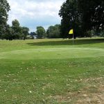 green grass with the flag in the hole.