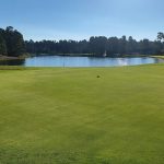 green grass with the flag in the hole.
