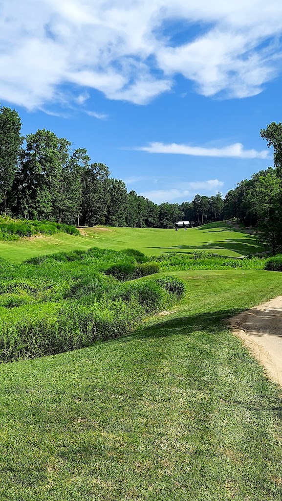 Panoramic view of a lush green golf course at Forest Greens Golf Club. Smooth