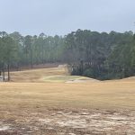 green grass with the flag in the hole.