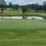 Panoramic view of a lush green golf course at Fort Jackson Golf Club. Smooth