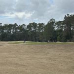 green grass with the flag in the hole.