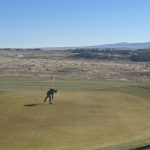 green grass with the flag in the hole.