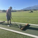 green grass with the flag in the hole.