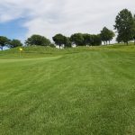 green grass with the flag in the hole.