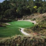 green grass with the flag in the hole.