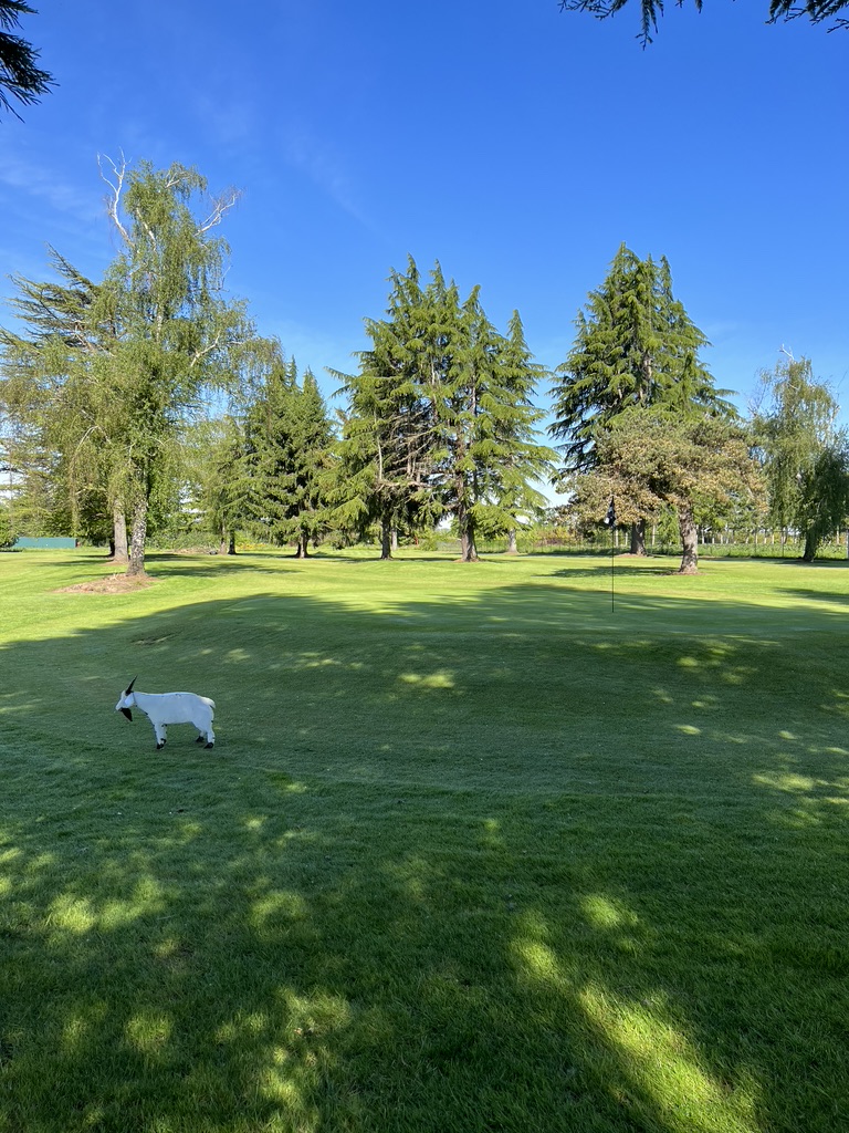 Panoramic view of a lush green golf course at Frontier Golf Course. Smooth