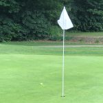 green grass with the flag in the hole.