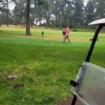 green grass with the flag in the hole.