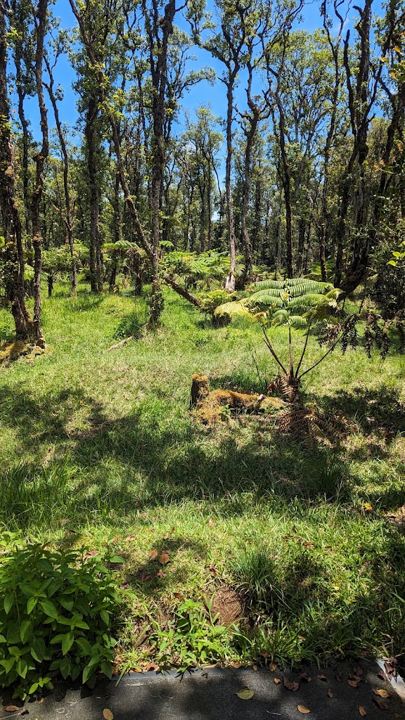 Panoramic view of a lush green golf course at Gargoyles Garden. Smooth