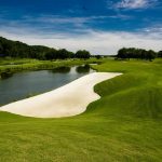green grass with the flag in the hole.