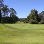 green grass with the flag in the hole.