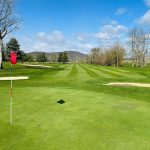 green grass with the flag in the hole.