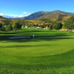 green grass with the flag in the hole.