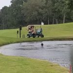 green grass with the flag in the hole.