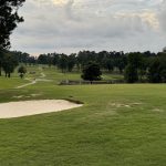 green grass with the flag in the hole.