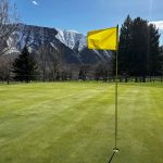 green grass with the flag in the hole.