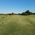 green grass with the flag in the hole.