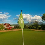 green grass with the flag in the hole.