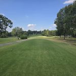green grass with the flag in the hole.