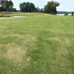 green grass with the flag in the hole.