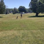 Panoramic view of a lush green golf course at Goose Run Golf Course. Smooth