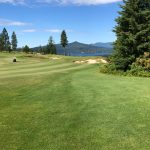 green grass with the flag in the hole.