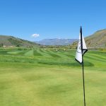 green grass with the flag in the hole.