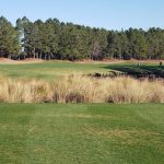 green grass with the flag in the hole.