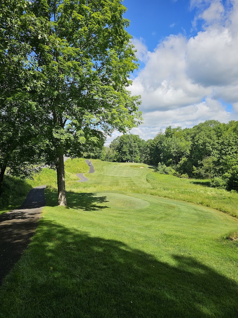 Panoramic view of a lush green golf course at Great Bear Golf Club. Smooth