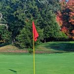 green grass with the flag in the hole.