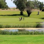 green grass with the flag in the hole.