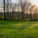 green grass with the flag in the hole.