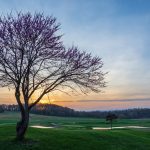 Panoramic view of a lush green golf course at Greencastle Golf Club. Smooth