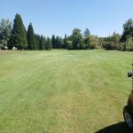 green grass with the flag in the hole.