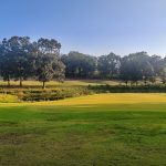 Panoramic view of a lush green golf course at Greystone Country Club. Smooth