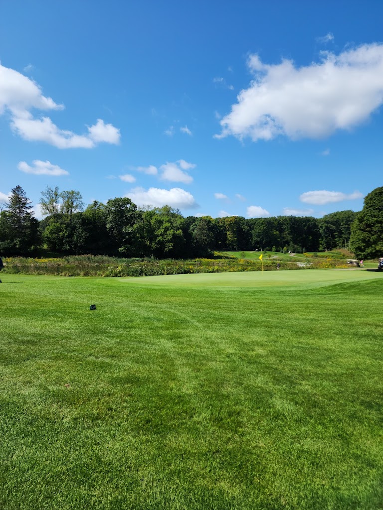 Panoramic view of a lush green golf course at Groesbeck Golf Course. Smooth