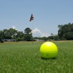 green grass with the flag in the hole.